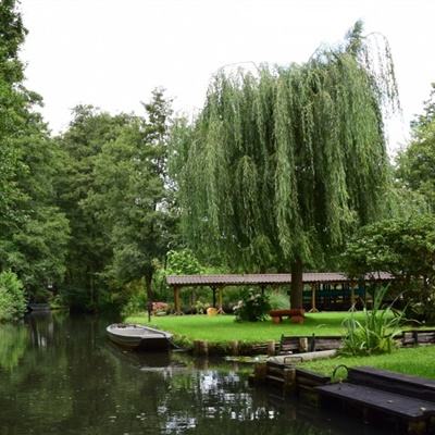 棋牌游戏app下载截图